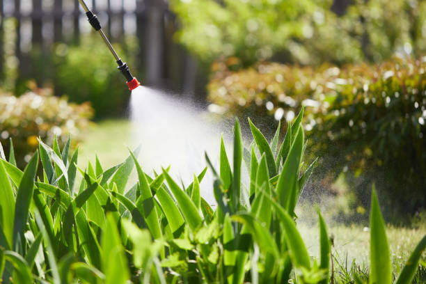 24/7 Emergency Wasp Removal experts in West Crossett, AR