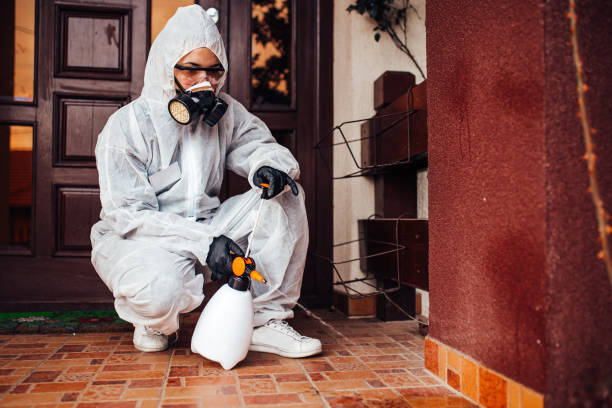 Reliable Wasp Removal contractor in West Crossett, AR by Show Me Pest Control